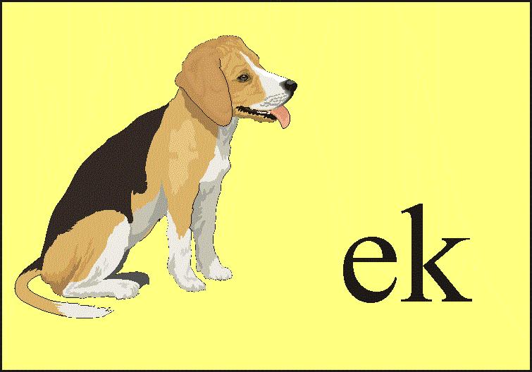 Rozmiar: 470 bajt�w