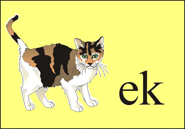 Rozmiar: 470 bajt�w