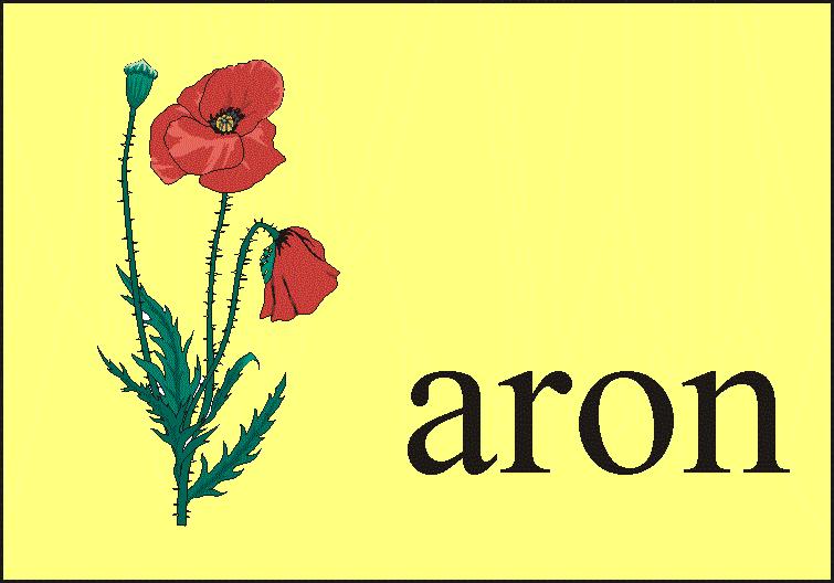 Rozmiar: 470 bajt�w