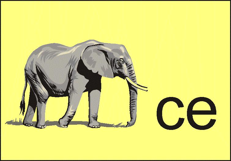 Rozmiar: 470 bajt�w