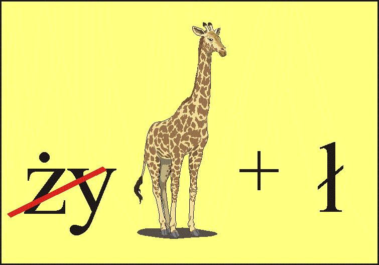 Rozmiar: 470 bajt�w